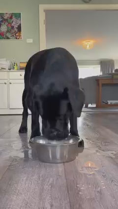 Dog Drinking Water Bowl Floating Non-Wetting Mouth Cat Bowl without Spill Drinking Water Dispenser Plastic Anti-Over Dog Bowl